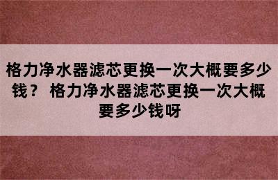 格力净水器滤芯更换一次大概要多少钱？ 格力净水器滤芯更换一次大概要多少钱呀